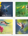 20Pcs Hummingbird Post Stamps*** New 2024 Flowers Design Mailing Forever Postage, Mixed