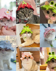 Cute Refined Pet Hat