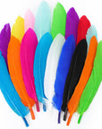 240Pcs Colorful Goose Feathers 4-6 Inches Natural Feathers for DIY Crafts