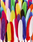 240Pcs Colorful Goose Feathers 4-6 Inches Natural Feathers for DIY Crafts