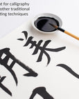 Bokuju Liquid Ink - 6Oz Sumi Ink for Calligraphy and Artwork - Black Drawing Ink for Use with Japanese Ink Brushes and Dip Pens