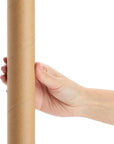 12 Pack Cardboard Tubes for Crafts, Brown Rolls for DIY Projects, Classroom (1.75 X 10 In)