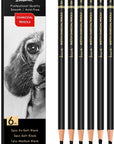Professional Charcoal Pencils Drawing Set - 6 Pieces Soft Medium and Hard Charcoal Pencils for Drawing, Sketching, Shading