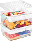 Plastic Storage Box with Removable Tray Caddy, Clear Art Supply Craft Organizers and Storage Bin, Playroom Container Organizer with Lid for Lego, Bead, Crayon, Tool, Sewing, Playdoh, Toy