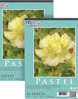 9" X 12" Premium Pastel Paper Pad, 80 Pound (180Gsm), Assorted Natural Tone Paper Colors, Pad of 16-Sheets (Pack of 2 Pads)