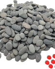 3LB Tiny Painting Rocks DIY Rocks for Painting Detail-Painting Smooth Surface Stones,Arts,Crafts Garden,About 350-400PCS 0.5 to 1.0 Inches ,Hand Picked for Painting Rocks