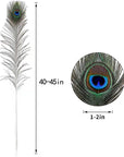 20Pcs Natural Peacock Feathers Long Pole Bulk 40-45 Inch for DIY Craft, Wedding Holiday Decorationn and Floral Arrangement