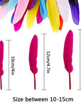 240Pcs Colorful Goose Feathers 4-6 Inches Natural Feathers for DIY Crafts