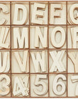 Unfinished Wooden Letters and Numbers, Storage Tray, 2 Inch Alphabet (144 Pieces)