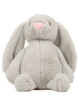 Lop-Eared Rabbit Plush Toy