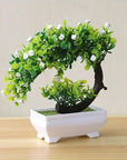 Small Bonsai Tree