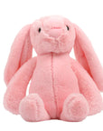 Lop-Eared Rabbit Plush Toy