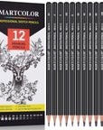 Drawing Sketching Pencils Set, 12 Pack Graphite Pencils(14B - 2H), Ideal for Drawing Art, Sketching, Shading, Artist Pencils for Beginners & Pro Artists