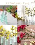 Floral Water Tubes 1.6 Inch Plastic Water Tubes for Floral Flower Vials with Caps for Flower Arrangement Decoration (Clear, 20 Pcs)