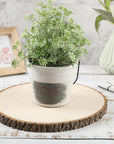 10Pcs Large Wood Slices for Centerpieces 10-11 Inches Wood Rounds for Tables Decor Rustic Wood Circles for DIY Crafts and Wedding Decor round Wooden Discs Wood Slice Ornaments