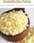 Candelilla Wax Pellets Candelilla Vegan Wax for Cosmetics DIY, Soap and Candle Making, Alternative to Beeswax - 14 OZ