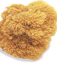 Natural Sea Sponges for Artists - Unbleached 5"-5.5" 2Pc Value Pack: Great for Painting Decorating Texturing Sponging Marbling Effects Faux Finishes Crafts & More by ®