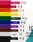 100 Pc. Pipe Cleaner 10 Assorted Colors Chenille Stems, Pipe Cleaners Craft, Fuzzy Sticks Great Craft Supplies DIY Art & Craft Projects| 6”