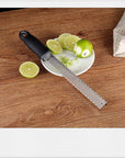 Citrus Lemon Zester, Cheese Grater Stainless Steel for Parmesan, Chocolate, Fruits, Ginger, Garlic, Veggies, Fine Zesters Graters with Non-Slip Grip Handle for Kitchen (Black)