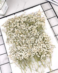 200PCS White Dried Flowers Small Baby'S Breath Flowers Nature Real Dry Pressing Floral Natural Gypsophila Dried Flowers for Wedding Resin Art Craft DIY Card Making