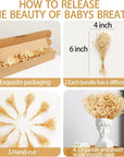 50Pcs Mini Dried Baby'S Breath Flowers for Resin Art Craft DIY, 3000+ Natural Ivory White Bulk Flowers, Pressed Gypsophila Bouquet Present for Valentine'S Day, Wedding Wreath, Card Making, Home Decor