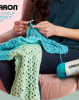 Simply Soft Blackberry Yarn - (Pack of 3) of 170G/6Oz - Acrylic - 4 Medium (Worsted) - Knitting/Crochet