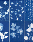 60 Sheets Sun Print Paper Cyanotype Paper Kit, A5 Sun Art Paper with 1 Plastic Tool for Sun Printing, Light Sensitive Solar Photography Paper for Kids DIY Crafts (5.8X 8.3 Inch)