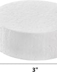 48 Pack Foam Circles for Crafts, 3 Inch Polystyrene Foam Discs, round Craft Foam for DIY Arts, Sculpture, Modeling, Kids Class, Floral Arrangement