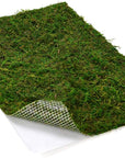Dried Moss Mat for Wedding Birthday Party Fairy Garden Decorations, Dark Green (Green - 14" X 9")
