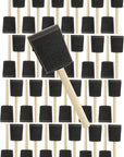 Pro Grade - Foam Brushes - 2 Inch - 48 Piece Poly Foam Brush Set