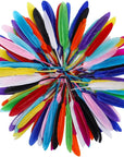 240Pcs Colorful Goose Feathers 4-6 Inches Natural Feathers for DIY Crafts