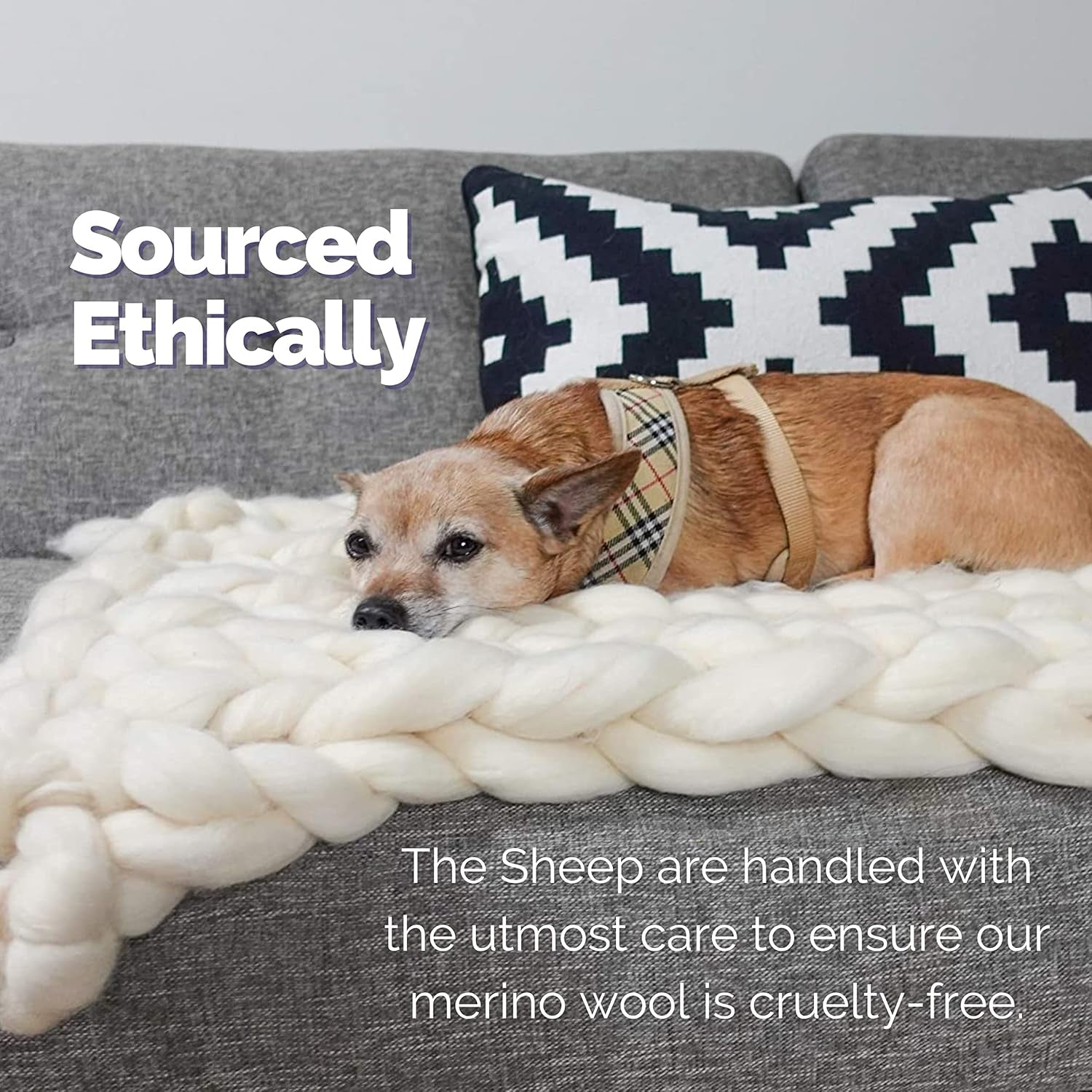 Merino Wool Roving 1 Lb (16 Ounces) for Spinning | Soft Chunky Jumbo Yarn for Arm Knitting Blanket |100% Natural Undyed (Off-White) Wool Yarn, Felting Core, Carded Stuffing