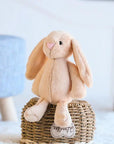 Lop-Eared Rabbit Plush Toy