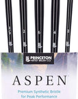 Aspen 6500 5Pc Professional Paint Brushes - Acrylic Brushes - Synthetic Oil Painting Brushes for Oil Acrylic & Gouache - Set of Art Brushes Filbert Striper Flat & round Brush Set