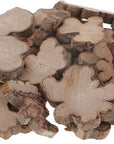 30Pcs Irregular Wood Log Slices Natural Tree Decorative Embellishments