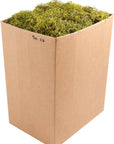 (27022) Spanish Moss Preserved, Chartreuse, 5Lbs