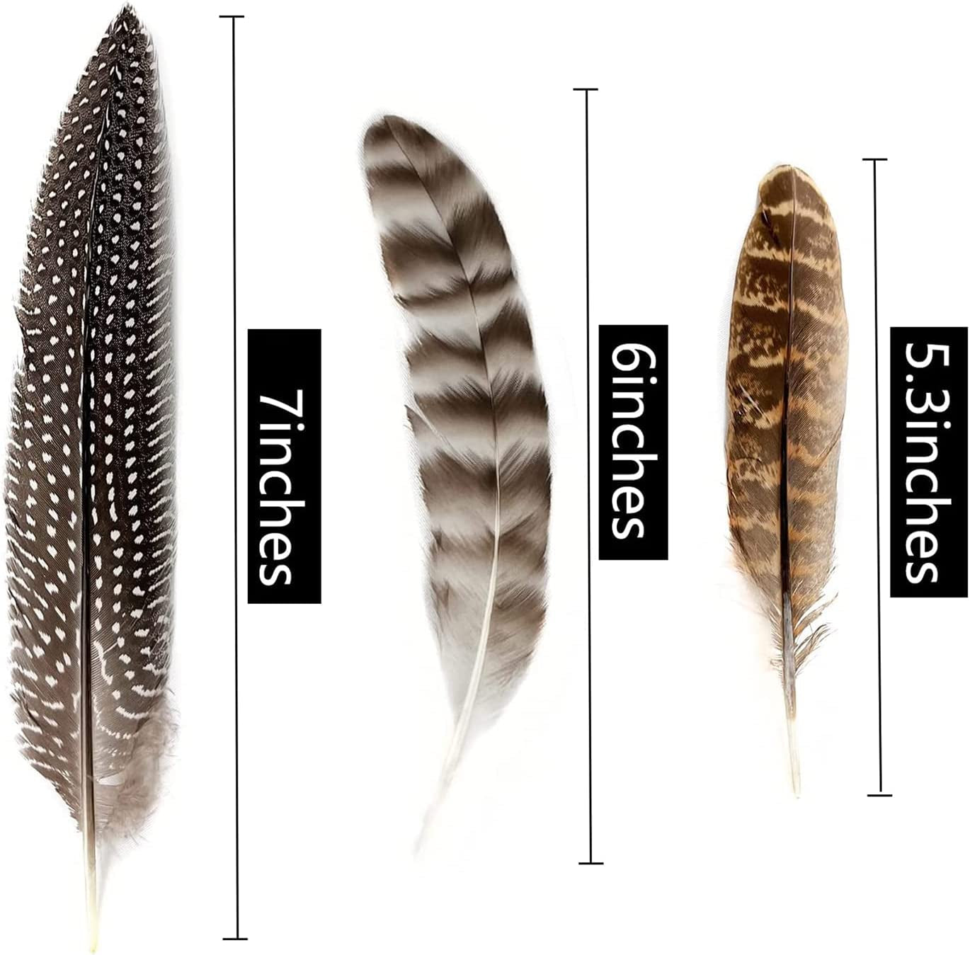 Natural Turkey Spotted Feathers, 30Pcs Pheasant Feathers for Crafts DIY Hat Floral Arrangements Wing Quill Wedding Home Party Decorations 6-8 Inch(3 Styles)