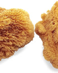 Natural Sea Sponges for Artists - Unbleached 5"-5.5" 2Pc Value Pack: Great for Painting Decorating Texturing Sponging Marbling Effects Faux Finishes Crafts & More by ®