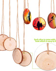 Natural Wood Slices 25 Pcs 3.1-3.5 Inches Craft Wood Kit Unfinished Predrilled with Hole Wooden Circles Tree Slices for Arts and Crafts Christmas Ornaments DIY Crafts