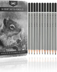 - Sketch Pencils for Drawing, 19 Pcs, Drawing Pencils for Sketching with Graphite Sticks, Erasers and Sharpener, Sketching Pencils, Art Pencils for Sketching, Graphite Pencils, Artist Pencils