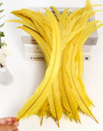 50PCS Rooster Coque Tail Feathers Bulk Natural 14-16Inch 35-40Cm for Crafting Wedding Fly Tying Feather Party Performances DIY Decoration Rooster Tail Featheryellow