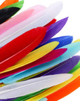 240Pcs Colorful Goose Feathers 4-6 Inches Natural Feathers for DIY Crafts