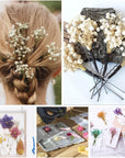50Pcs Mini Dried Baby'S Breath Flowers for Resin Art Craft DIY, 3000+ Natural Ivory White Bulk Flowers, Pressed Gypsophila Bouquet Present for Valentine'S Day, Wedding Wreath, Card Making, Home Decor