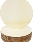 20Pcs 8 Inch Wood Rounds for Crafts, Unfinished Wood Circles Discs Blank Wood Signs to Paint, DIY Supplies, Home Christmas Halloween Decorations