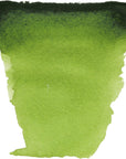 Watercolor Paint, 10Ml Tube, Sap Green 623