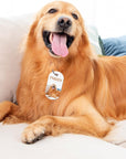 45Pcs Sublimation Blank Dog Tag Aluminum White Sublimation Stamping Tag Pendants Double Sided Blank Stamping Metal Tags, Personalized Pets Tags Oval