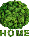 Preserved Moss - 3.5 OZ Moss for Crafts Faux Moss Decor Natural Green Moss DIY Art Wall Floral Moss Terrariums Gardenning Decor Wedding Easter Table Home Office Art Landscape Garden Decoration