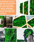 Preserved Moss - 3.5 OZ Moss for Crafts Faux Moss Decor Natural Green Moss DIY Art Wall Floral Moss Terrariums Gardenning Decor Wedding Easter Table Home Office Art Landscape Garden Decoration