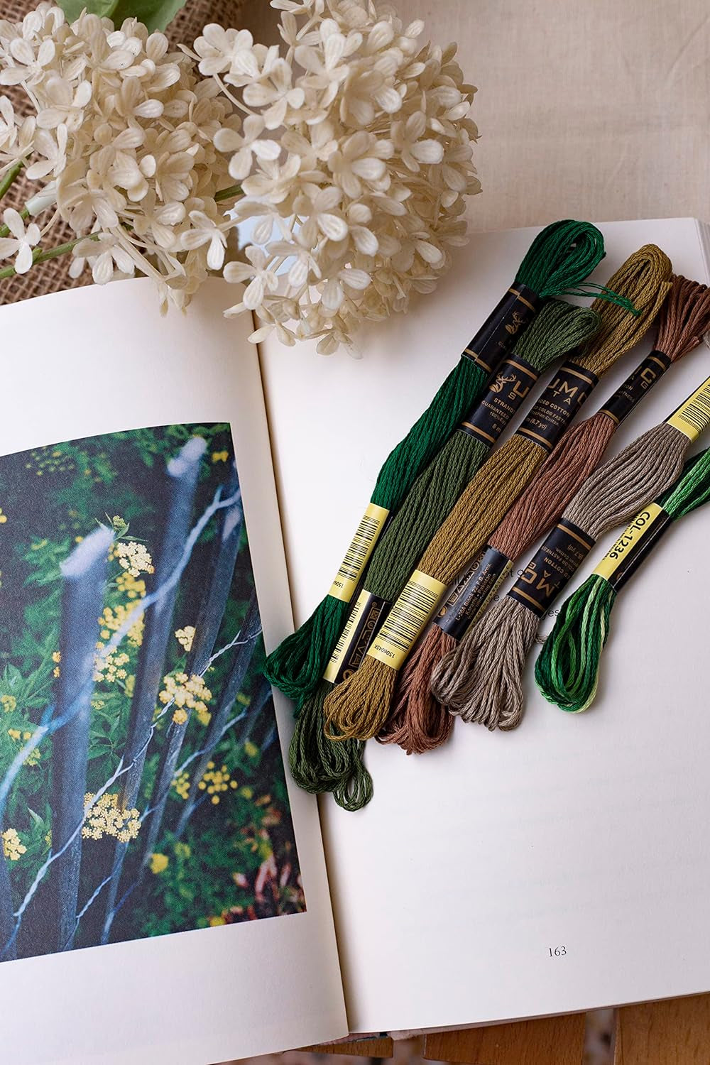 Pack of 12 Premium Embroidery Thread | 100% Egyptian Cotton Premium Skeins | Cross Stitch Embroidery Floss | Oeko TEX Certified Stranded Cotton | (Medium Brown 358)