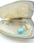10PC Freshwater Pearl Cultured Love Wish Pearl Oyster with round Pearl inside for Pearl Gift Fun for Children Family Friends Party Oyster with Pearls Inside(6-8Mm, 10PC)